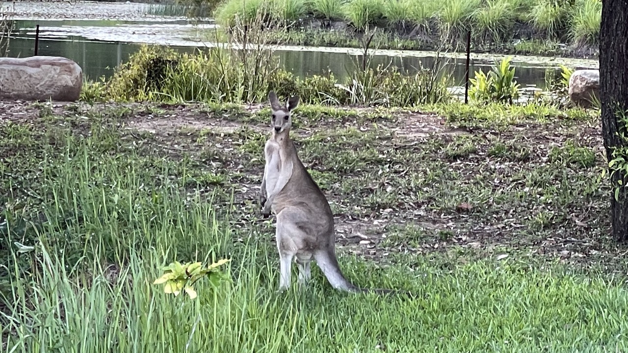 Photo of Outdoor in Landsborough