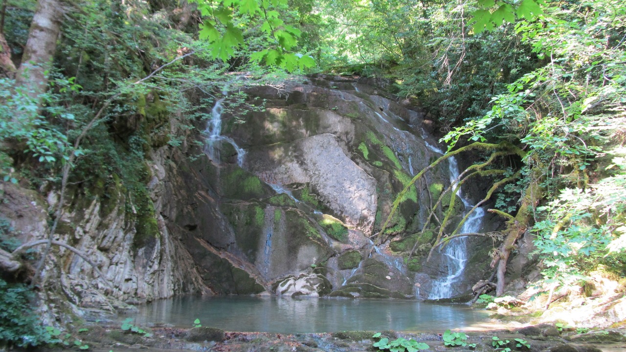 Photo of Others in Theodoriana