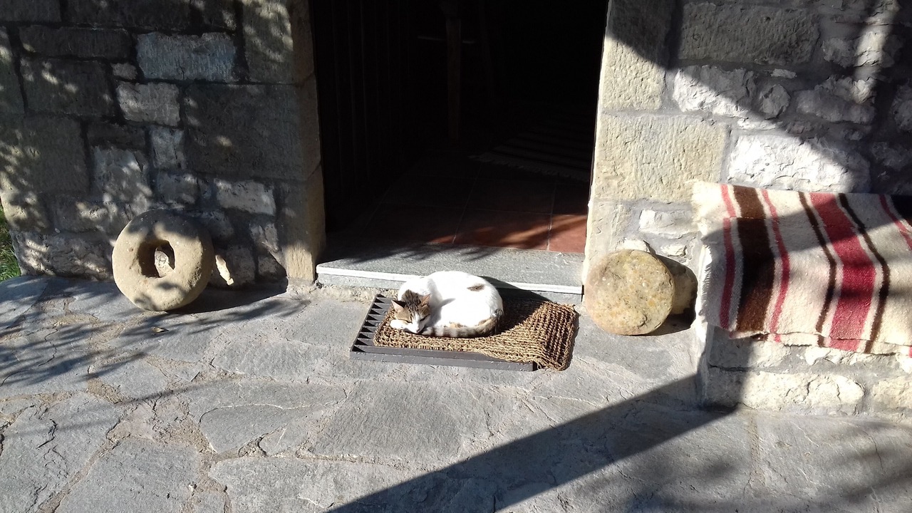 Photo of Outdoor in Theodoriana