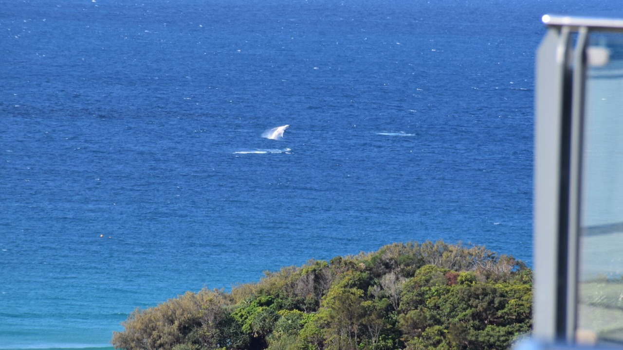 Photo of Others in Point Lookout
