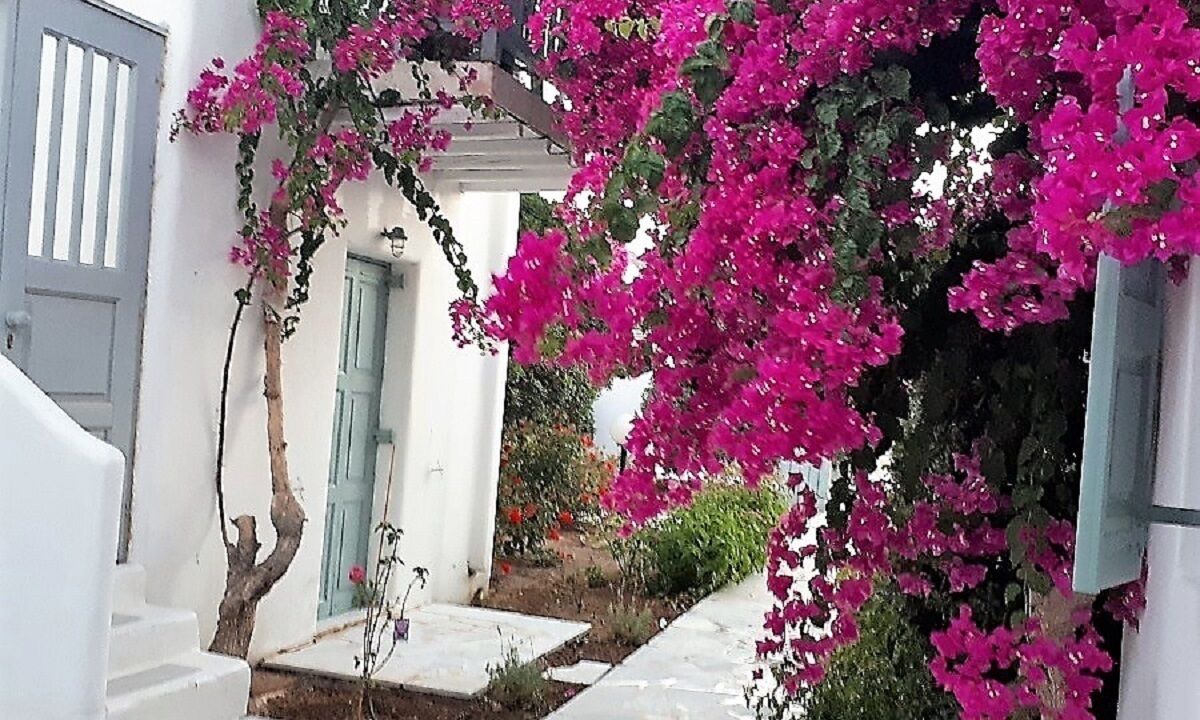 Photo of Outdoor in Ornos