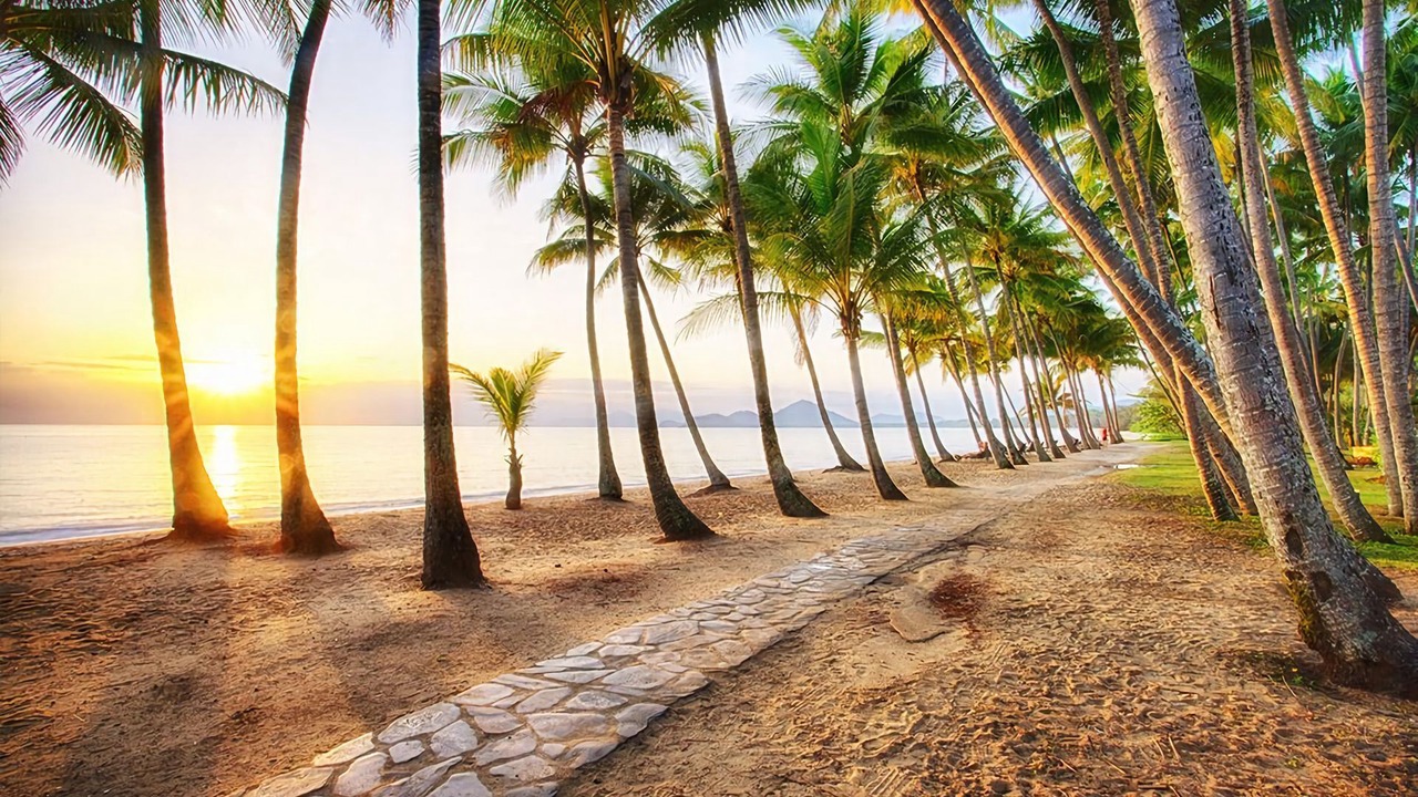 Photo of Others in Palm Cove