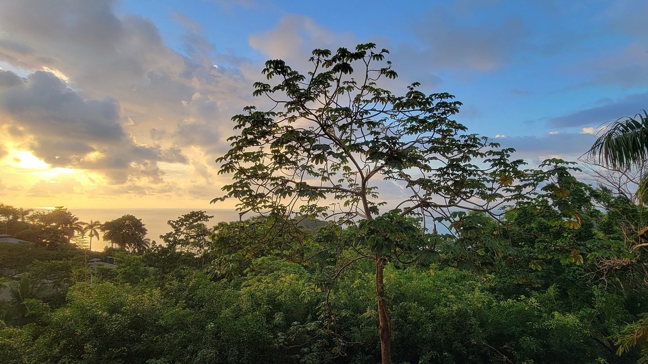 Photo of Outdoor in Manuel Antonio