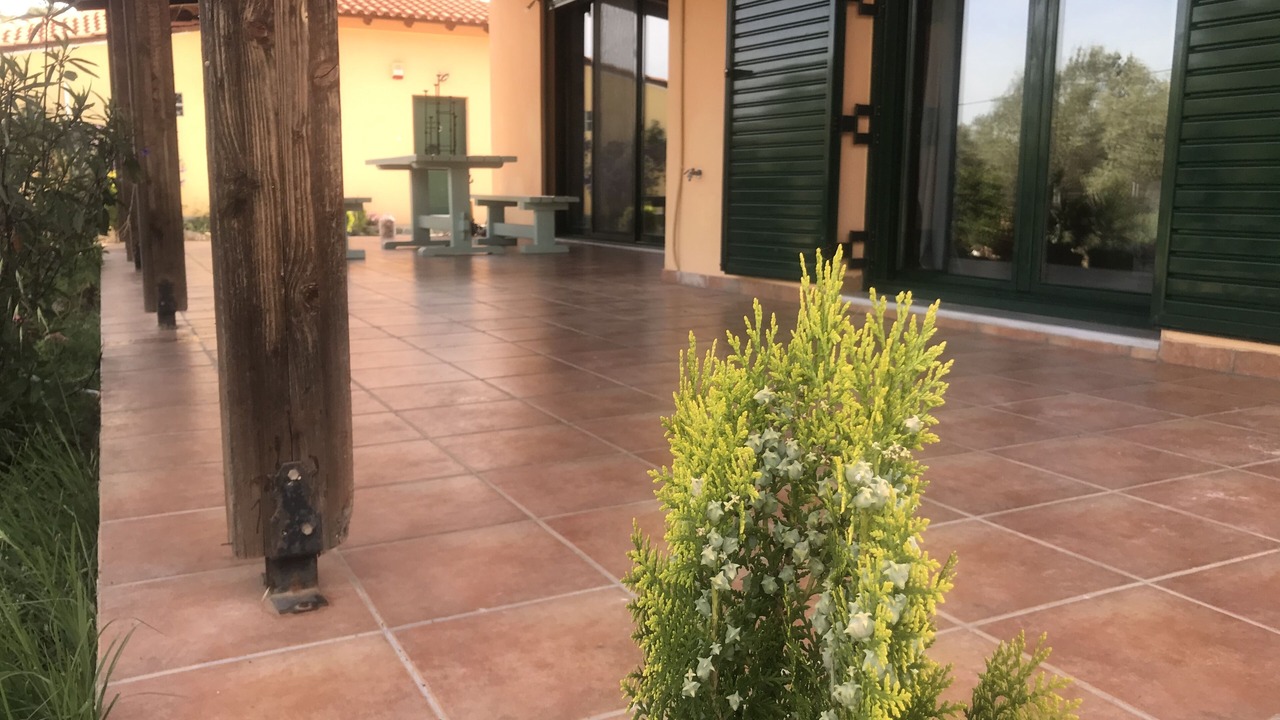 Photo of Outdoor in Galatas
