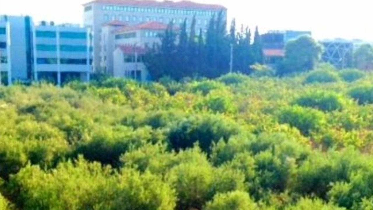 Photo of Outdoor in Khalandrion