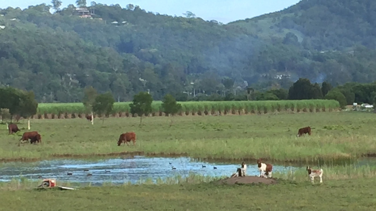 Photo of Outdoor in Maroochy River