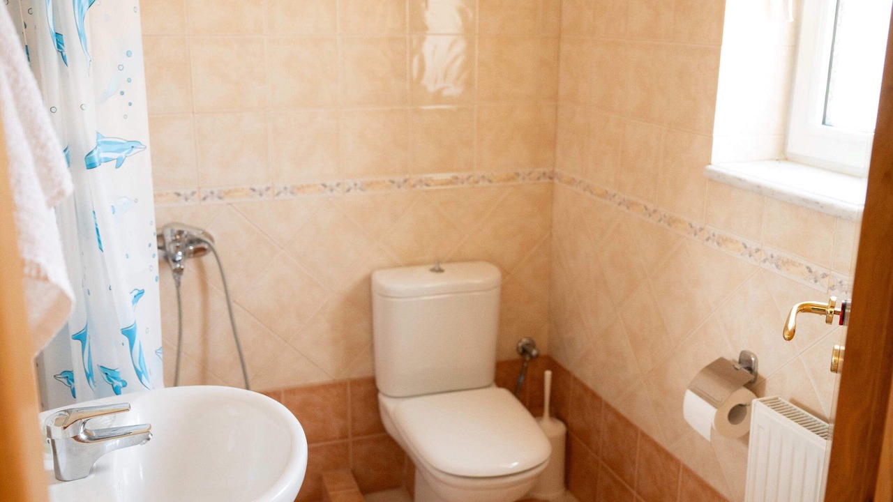 Photo of Bathroom in Skidra