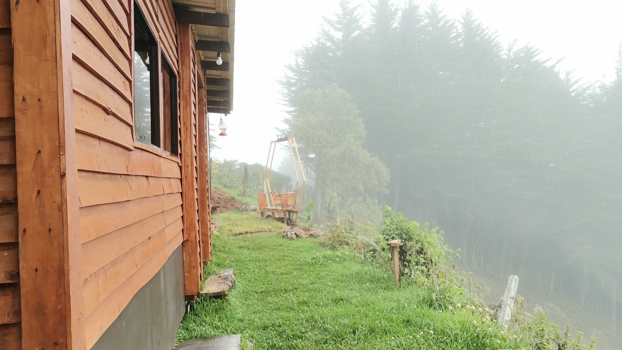Photo of Outdoor in Rivas