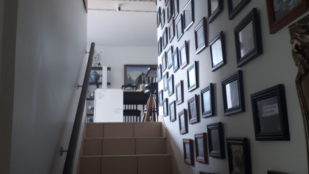 Photo of Others in Wonderboom