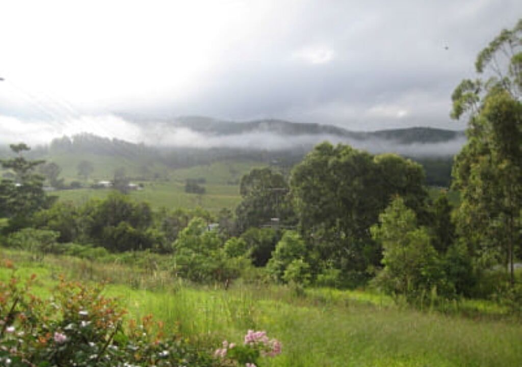 Photo of Outdoor in Belli Park