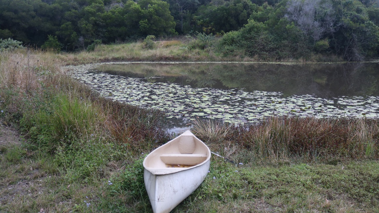 Photo of Outdoor in Belli Park