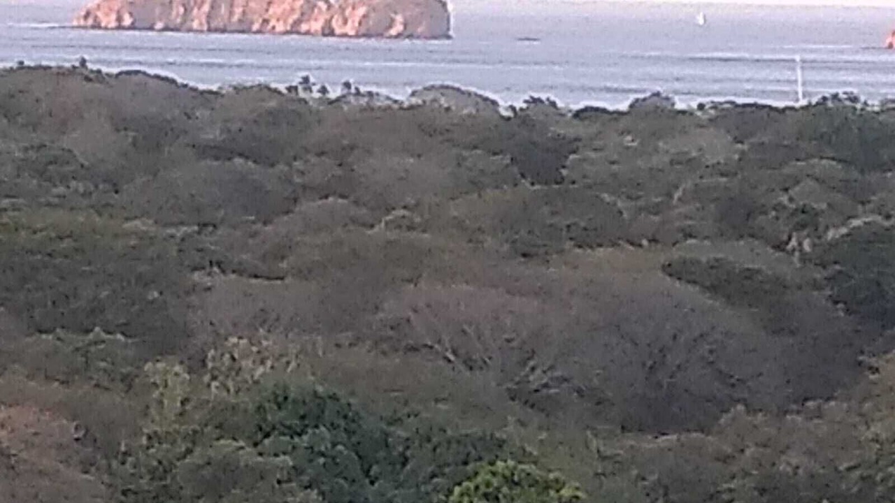 Photo of Outdoor in Liberia