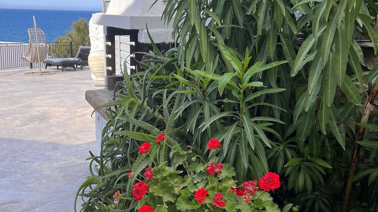 Photo of Outdoor in Neromilos