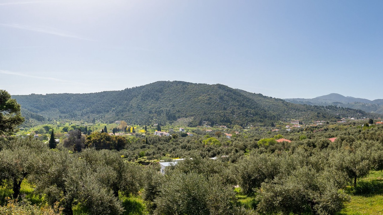 Photo of Others in Stafylos