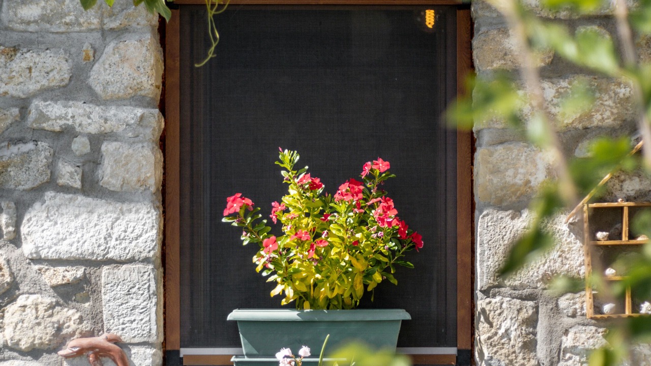 Photo of Outdoor in Drimonas