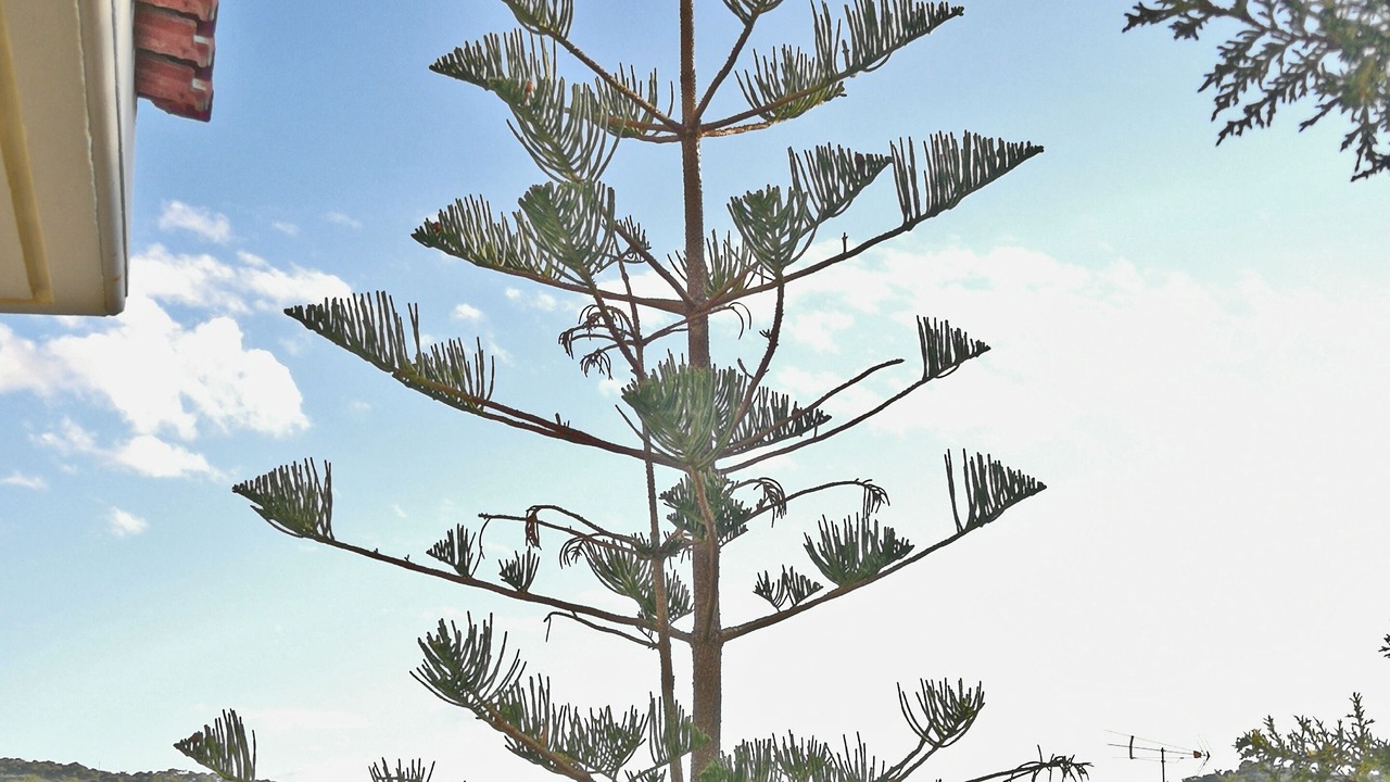 Photo of Outdoor in Karakiani