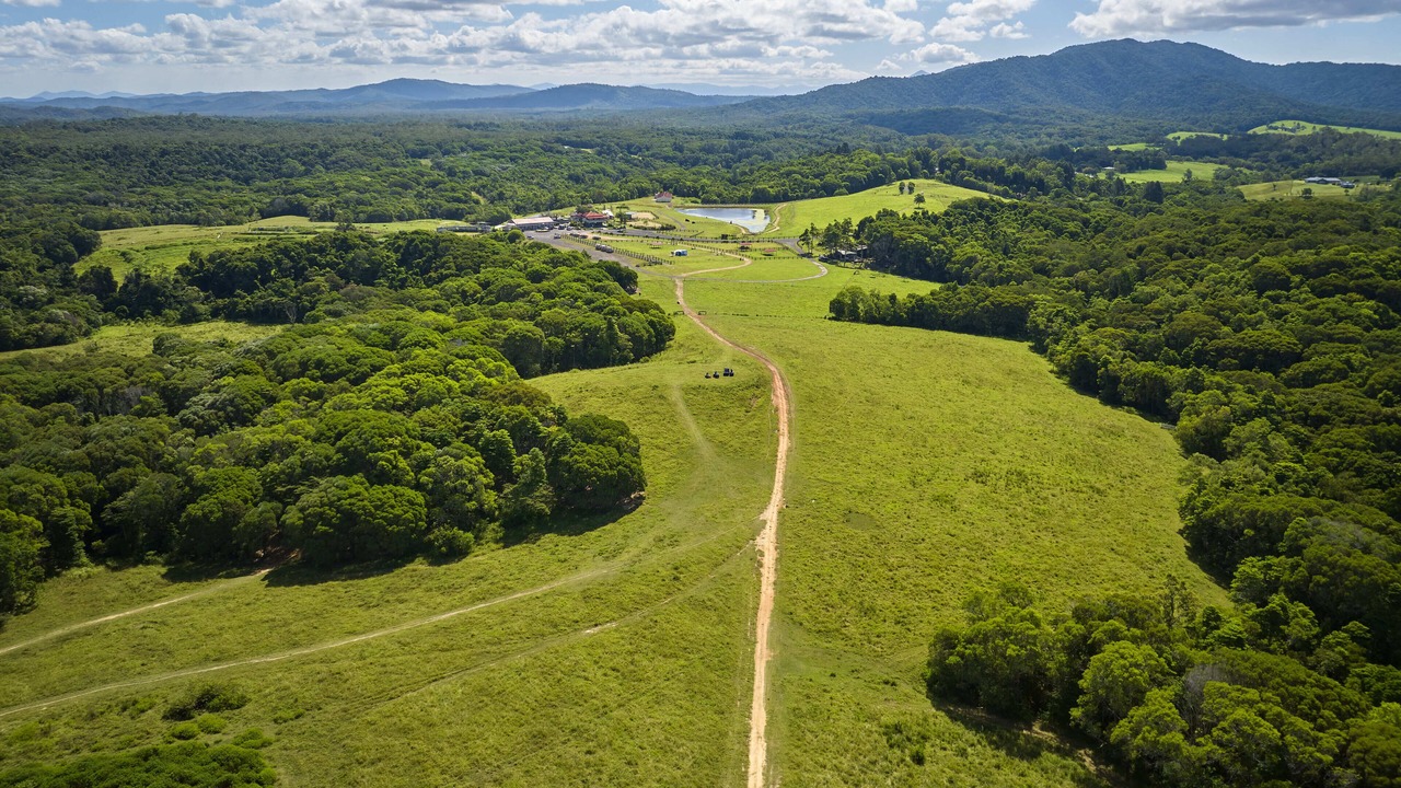 Photo of Outdoor in Kuranda