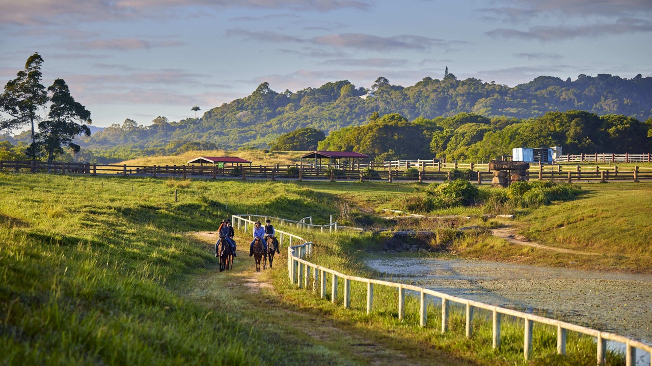 Photo of Outdoor in Kuranda