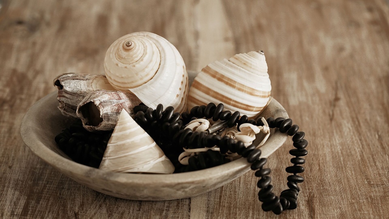 Photo of Others in Noosa Heads