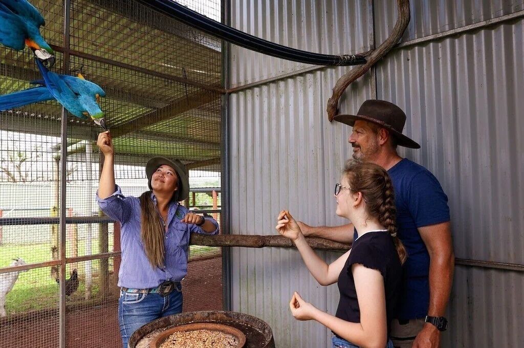Photo of Others in Kuranda
