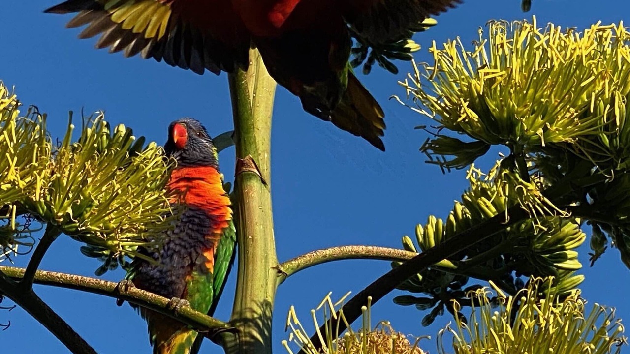 Photo of Outdoor in Urangan
