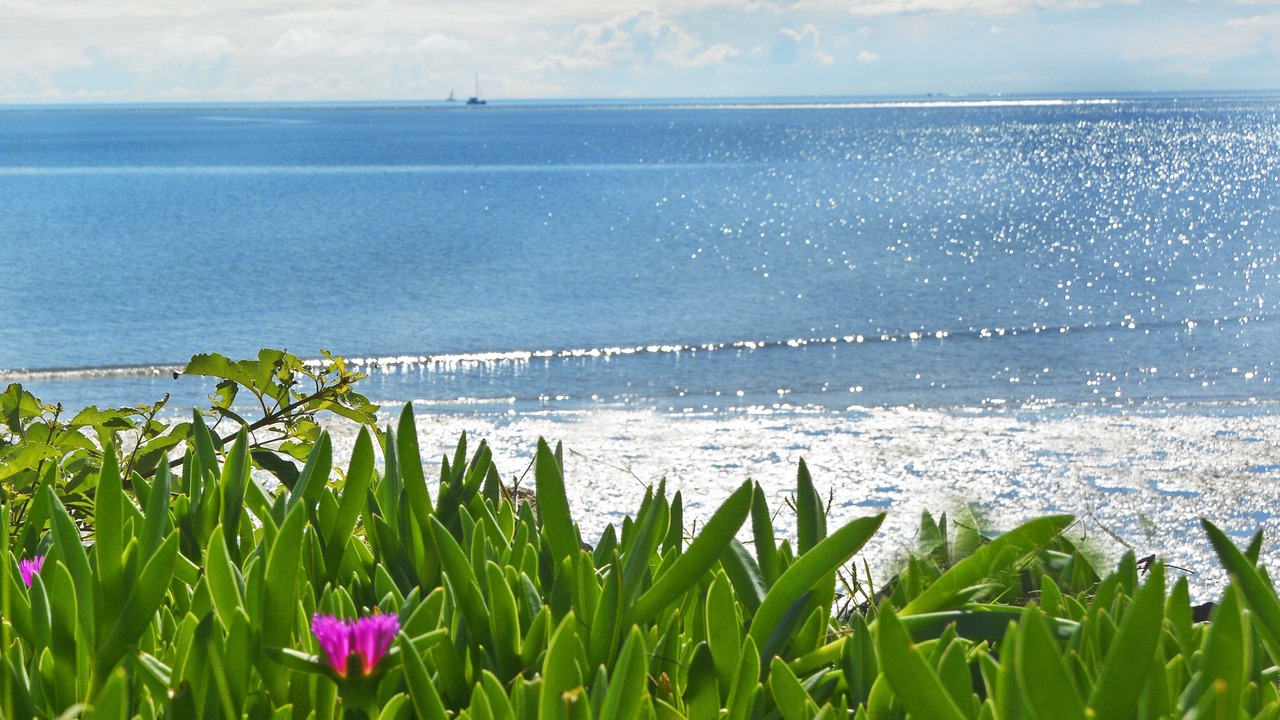 Photo of Others in Urangan