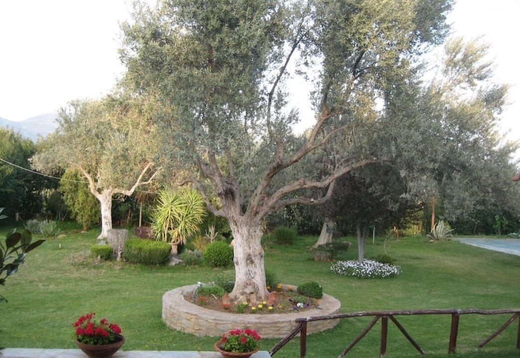 Photo of Outdoor in Eretria