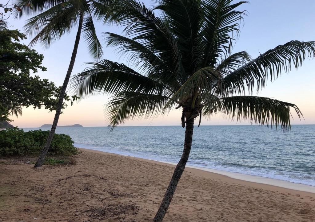 Photo of Others in Trinity Beach
