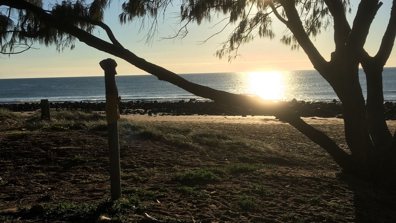 Photo of Others in Bundaberg
