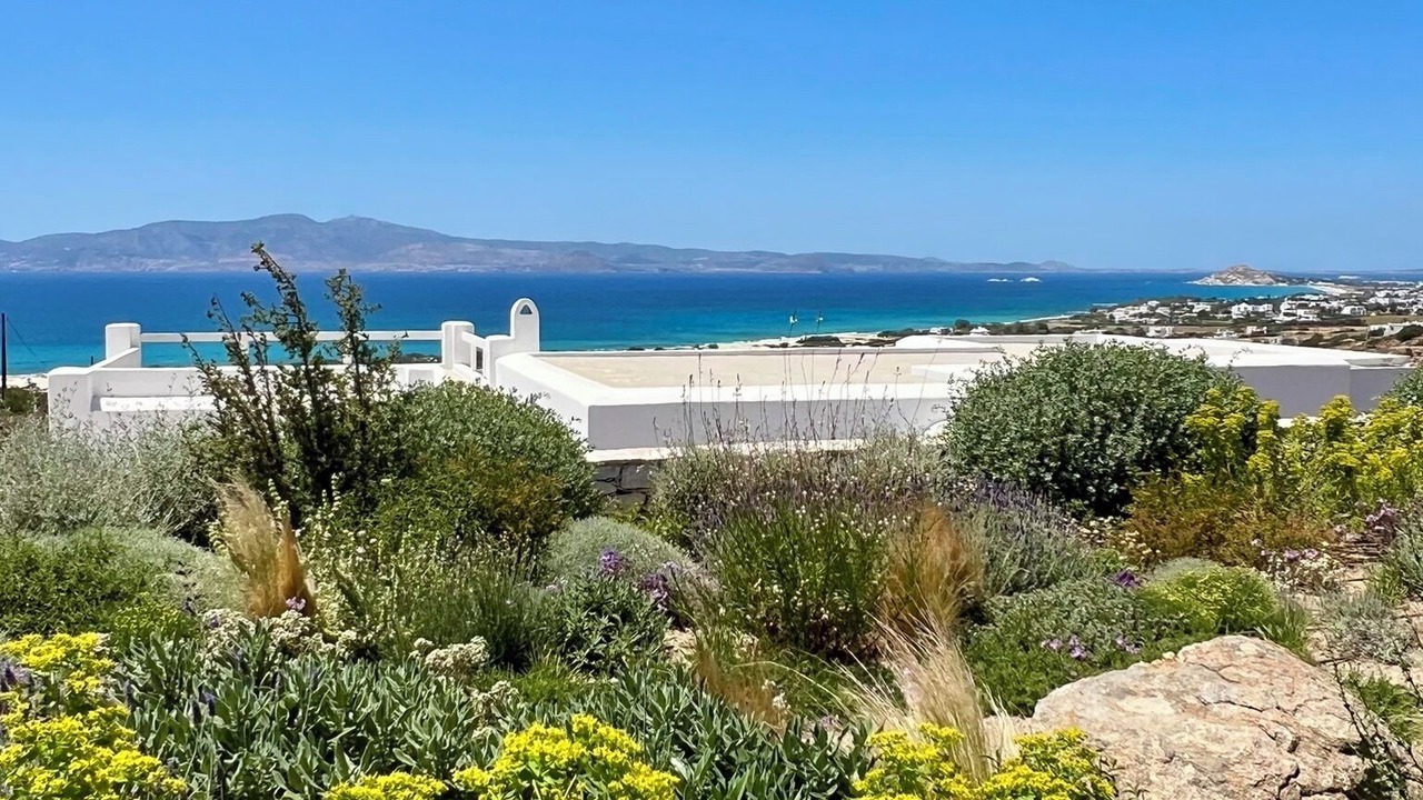 Photo of Others in Naxos