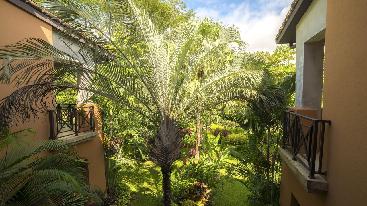 Photo of Outdoor in Herradura