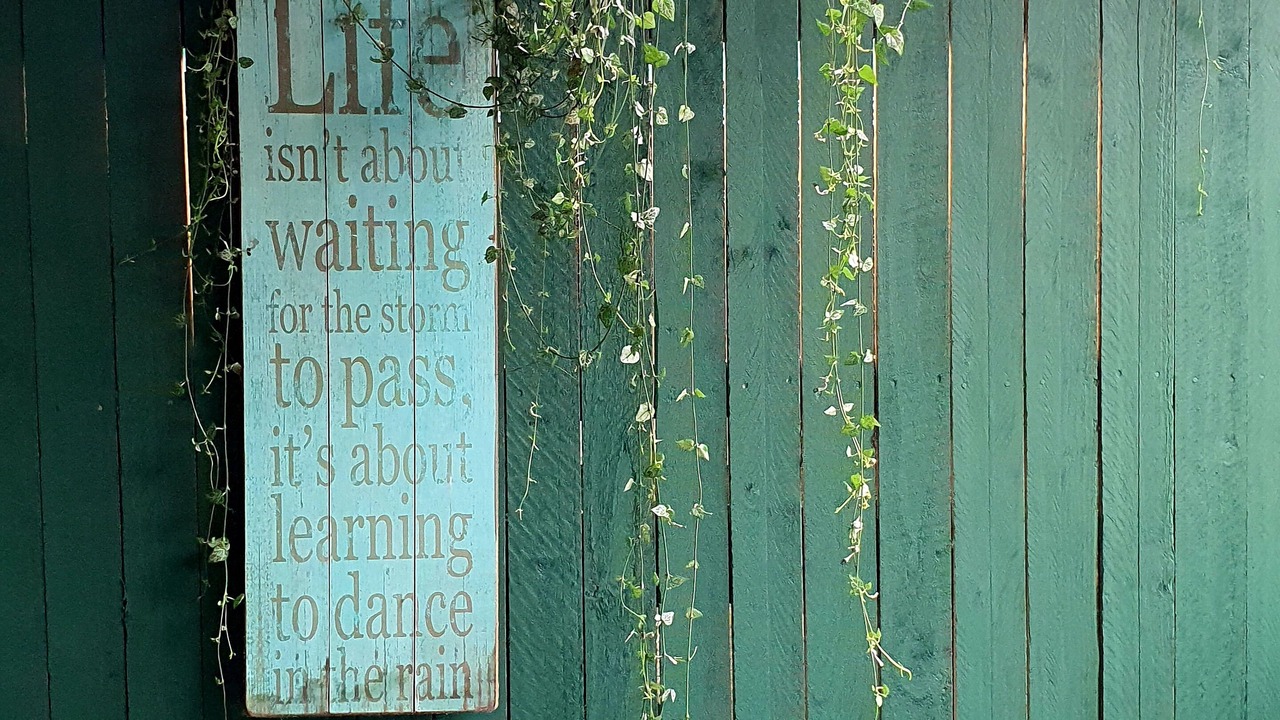 Photo of Outdoor in Illinbah