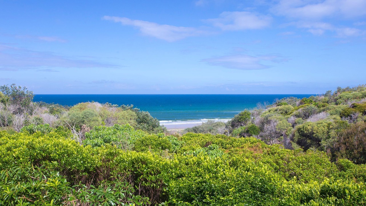 Photo of Others in Sunshine Beach