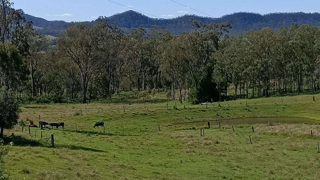 Photo of Others in Moorang