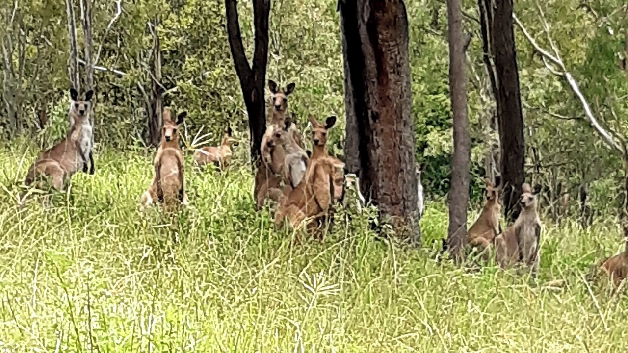 Photo of Others in Moorang