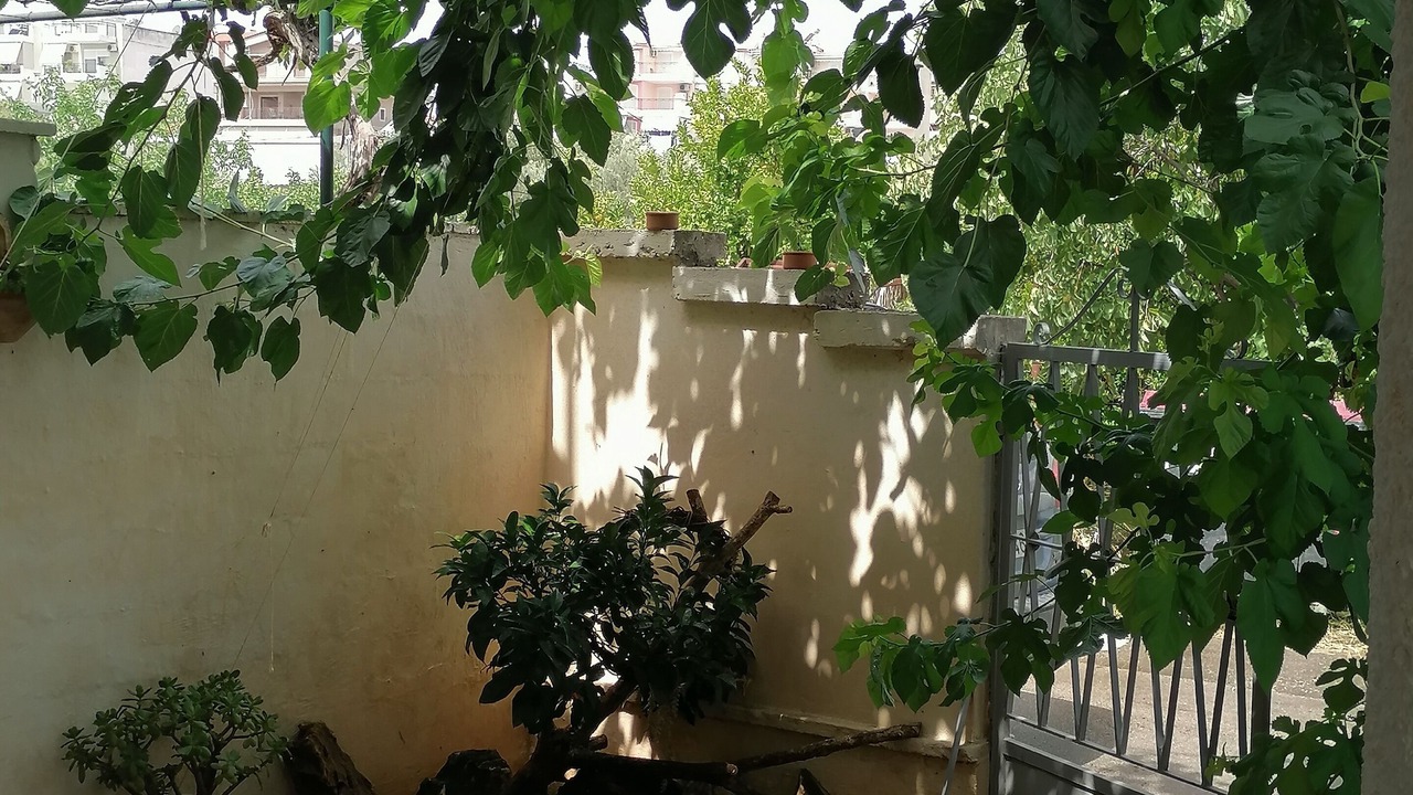 Photo of Outdoor in Nea Artaki