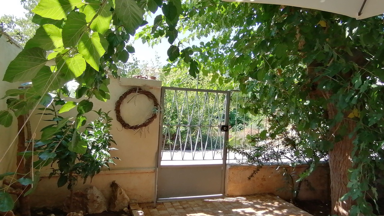 Photo of Outdoor in Nea Artaki