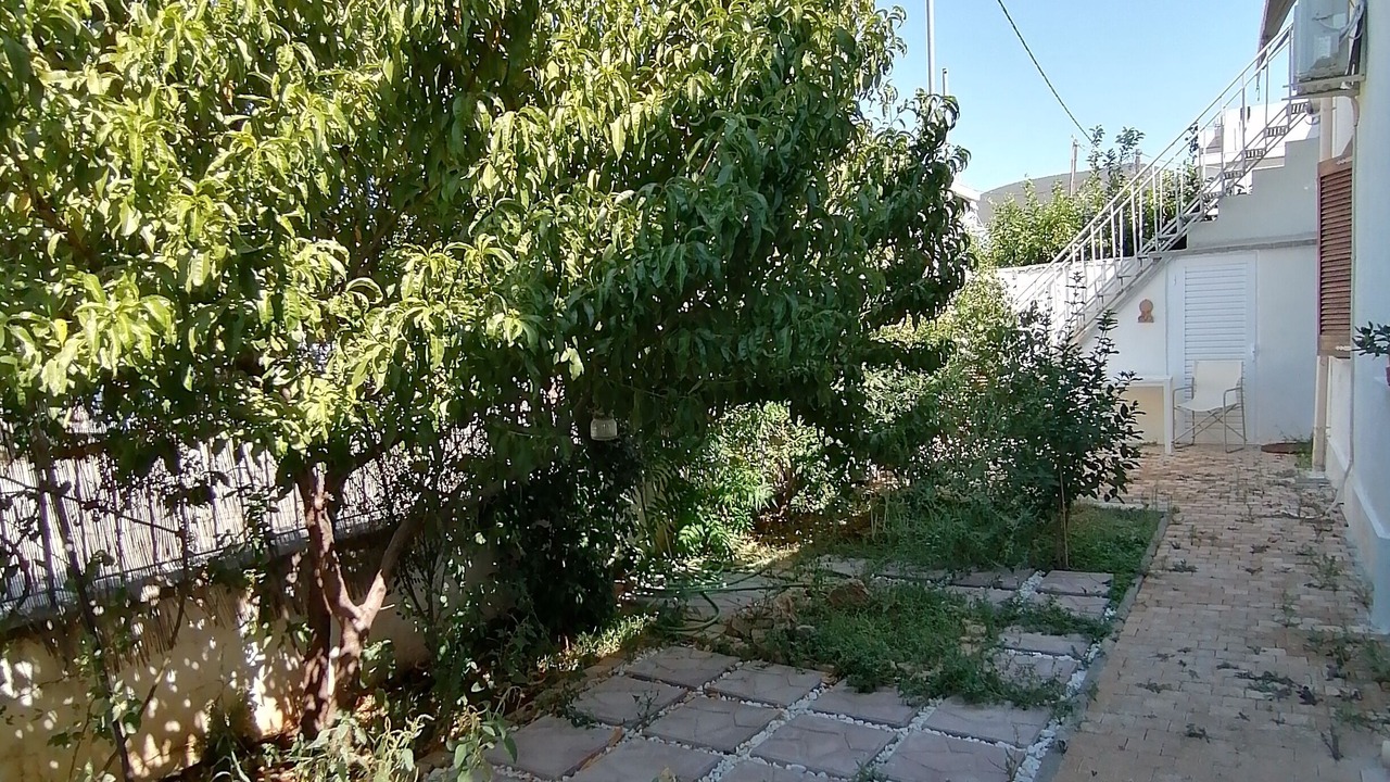 Photo of Outdoor in Nea Artaki