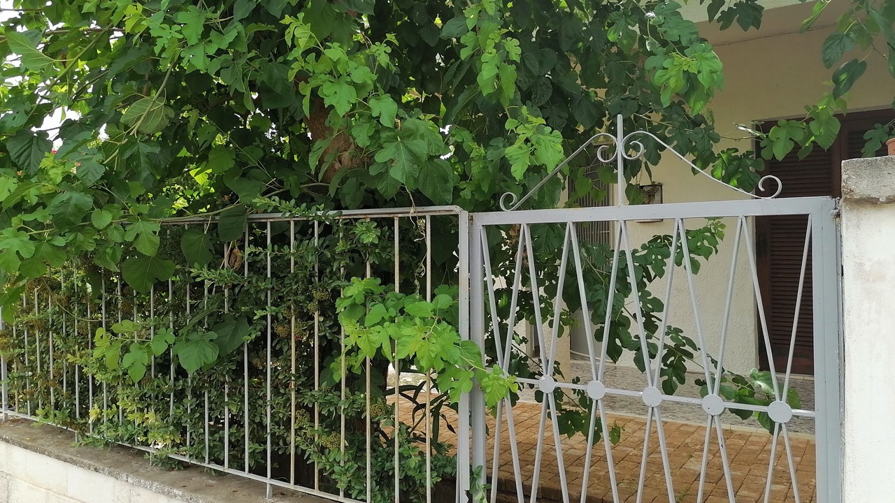 Photo of Outdoor in Nea Artaki