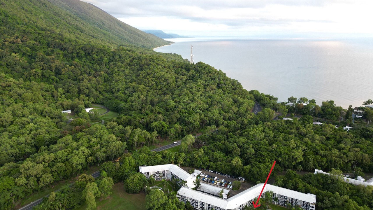 Photo of Others in Palm Cove