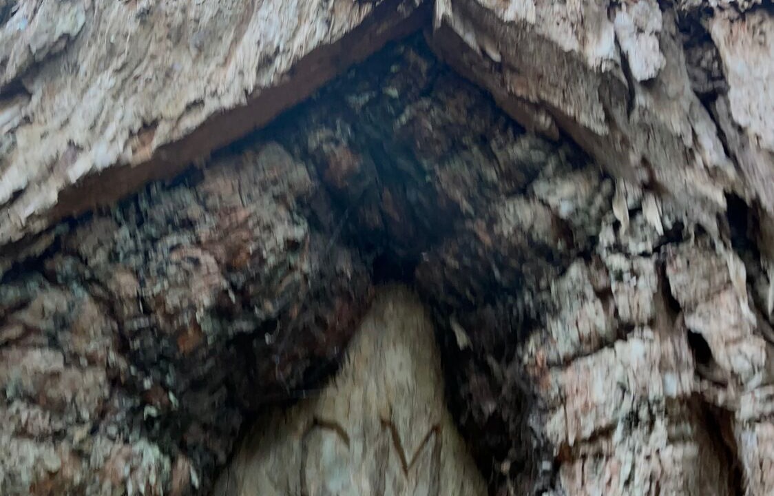 Photo of Outdoor in Eurong