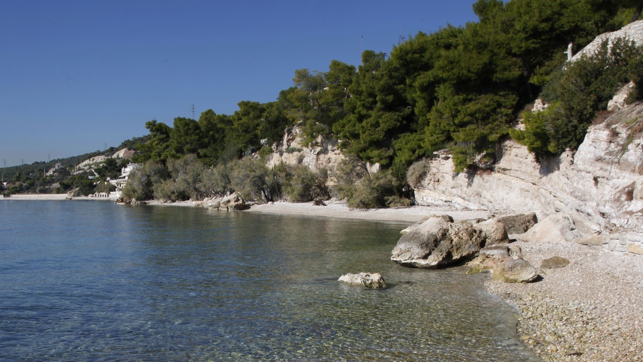 Photo of Others in Bralos