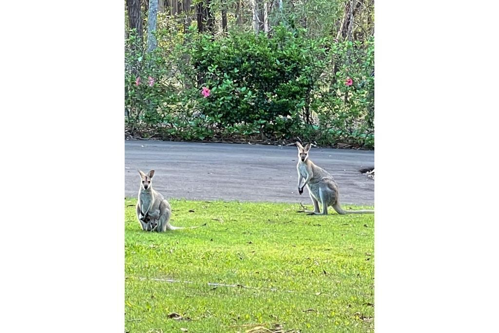 Photo of Outdoor in Sheldon