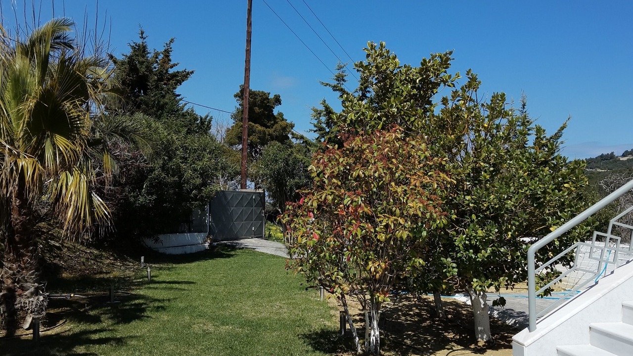 Photo of Outdoor in Sipiada