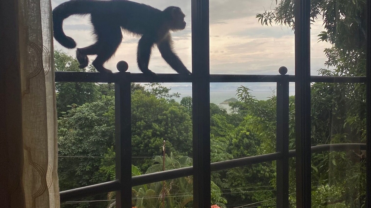 Photo of Others in Manuel Antonio