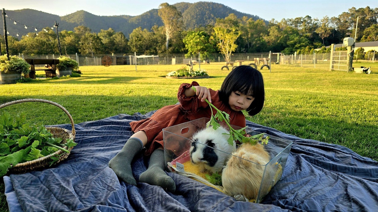 Photo of Others in Highvale
