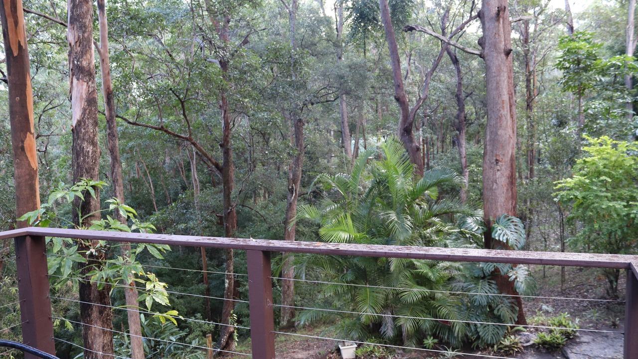 Photo of Outdoor in Landsborough