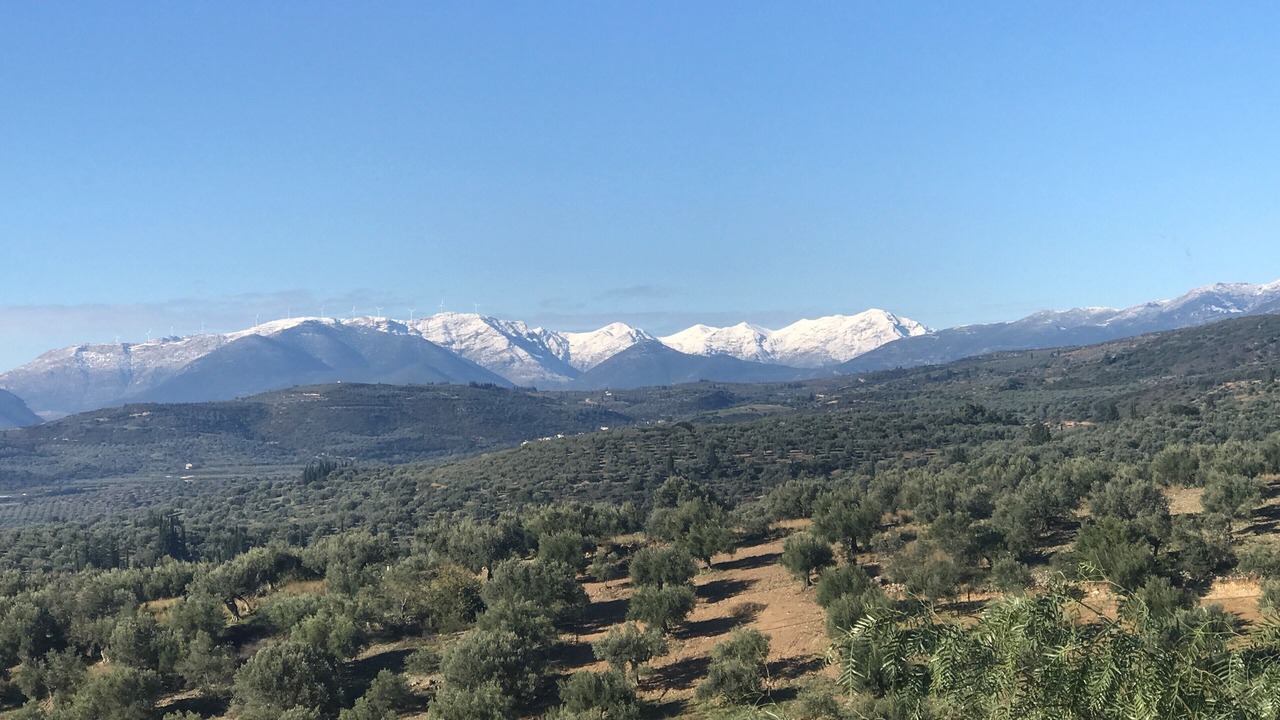 Photo of Others in Messolonghi
