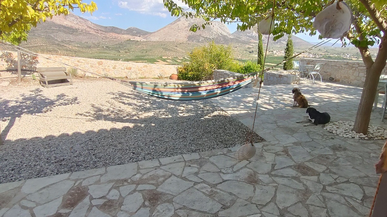 Photo of Outdoor in Messolonghi