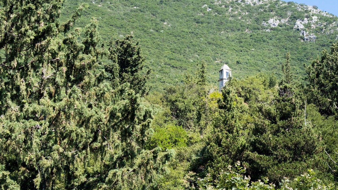Photo of Others in Vournikas